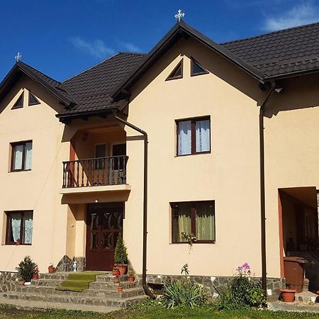 Casa Dorina Villa Törcsvár Kültér fotó