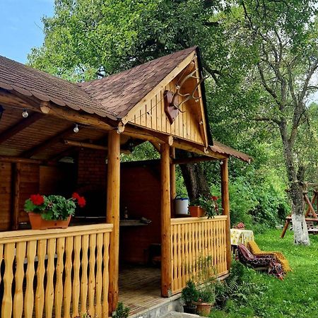 Casa Dorina Villa Törcsvár Kültér fotó