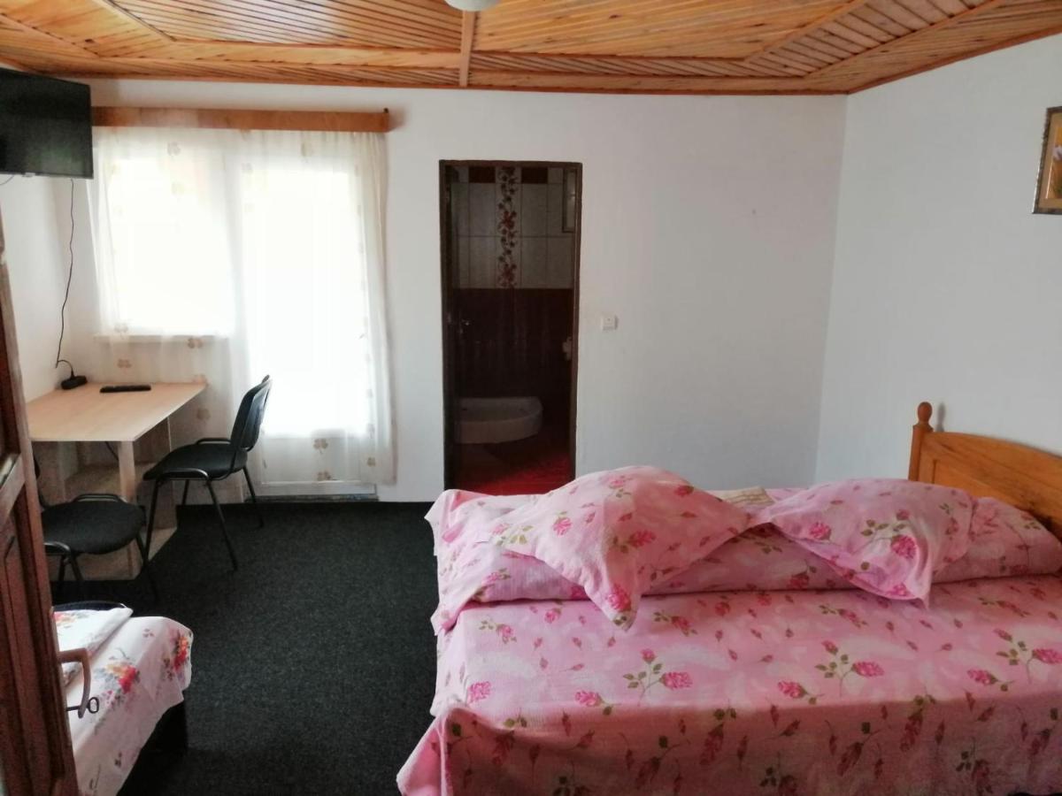 Casa Dorina Villa Törcsvár Kültér fotó
