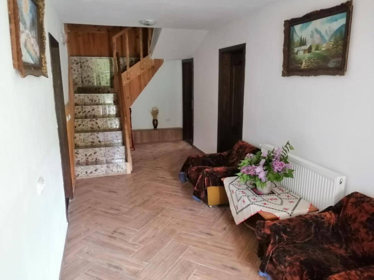 Casa Dorina Villa Törcsvár Kültér fotó
