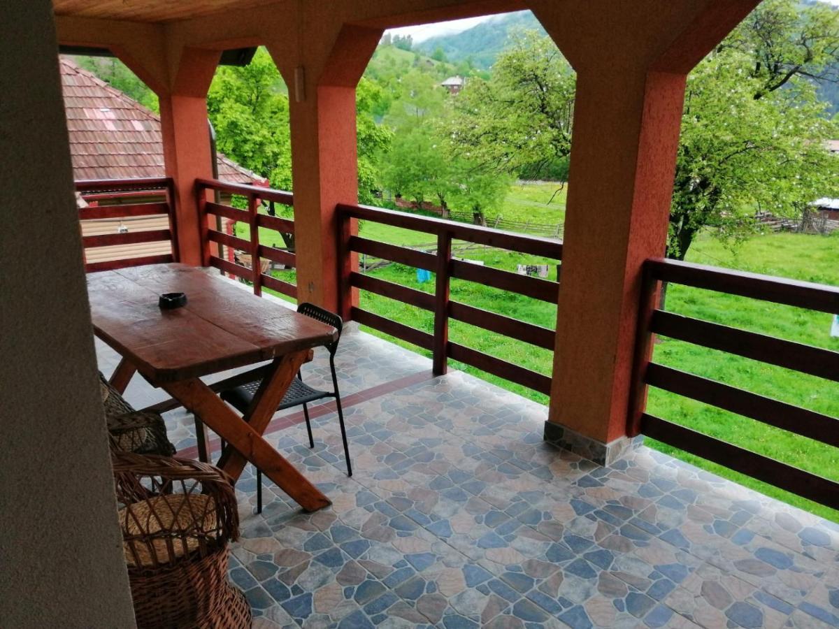 Casa Dorina Villa Törcsvár Kültér fotó