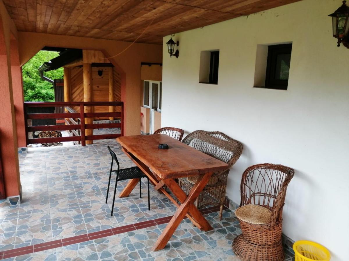 Casa Dorina Villa Törcsvár Kültér fotó