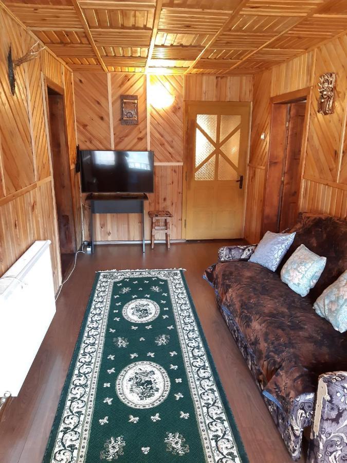 Casa Dorina Villa Törcsvár Kültér fotó