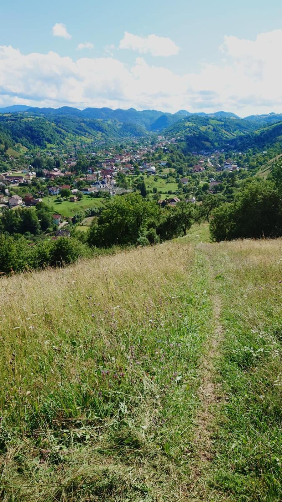 Casa Dorina Villa Törcsvár Kültér fotó
