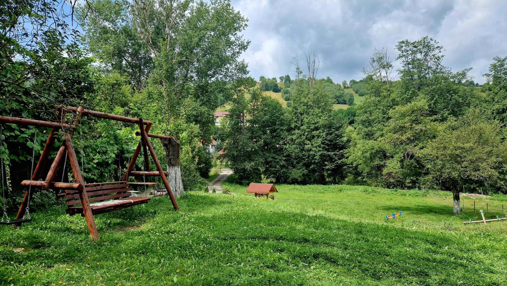 Casa Dorina Villa Törcsvár Kültér fotó