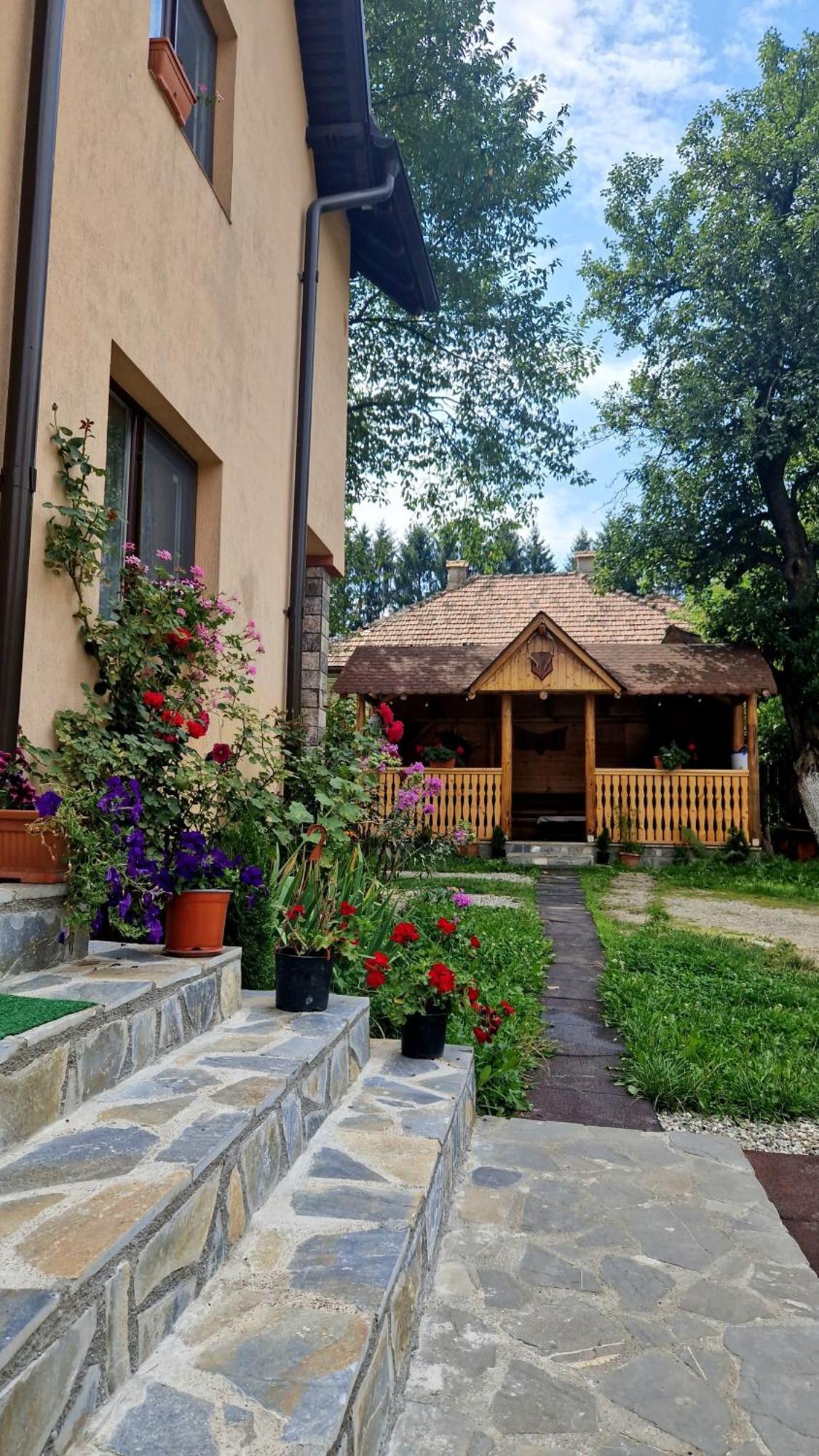 Casa Dorina Villa Törcsvár Kültér fotó