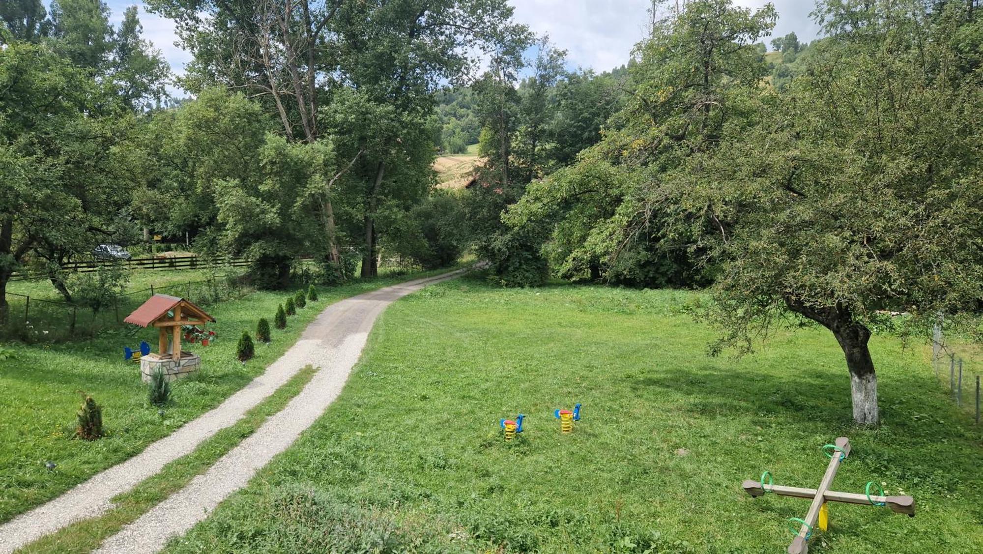 Casa Dorina Villa Törcsvár Kültér fotó