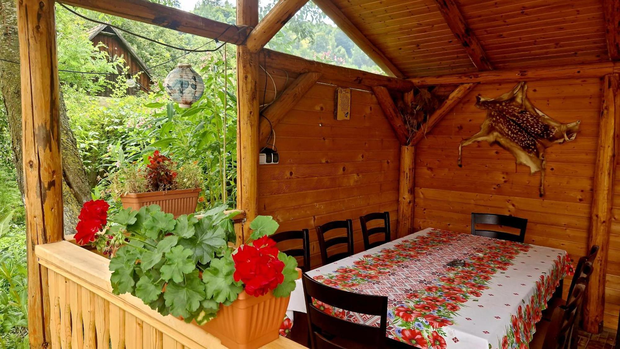Casa Dorina Villa Törcsvár Kültér fotó