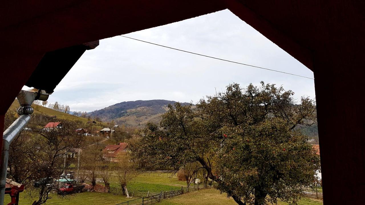 Casa Dorina Villa Törcsvár Kültér fotó