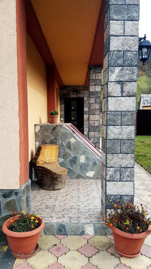 Casa Dorina Villa Törcsvár Kültér fotó