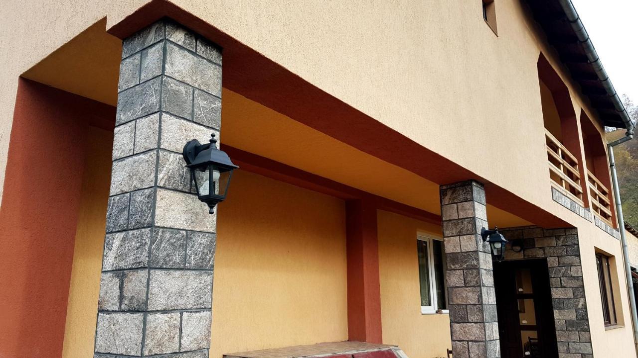 Casa Dorina Villa Törcsvár Kültér fotó