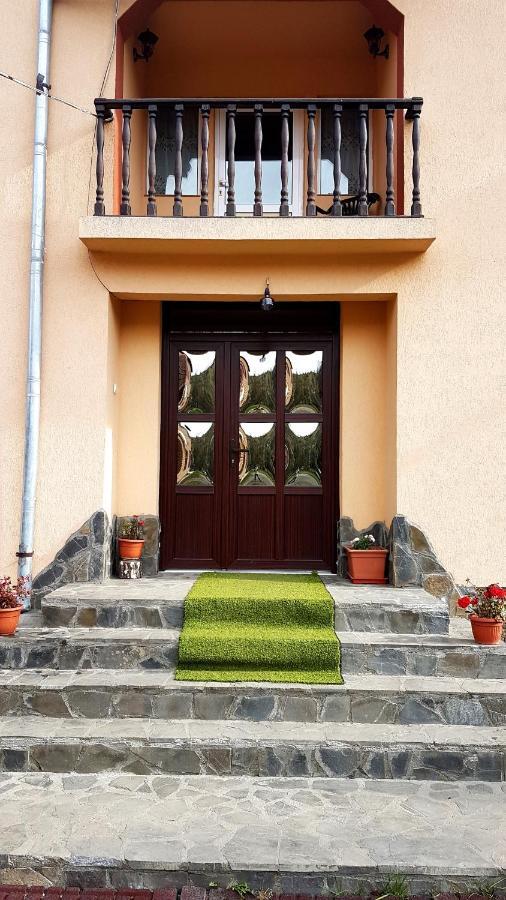 Casa Dorina Villa Törcsvár Kültér fotó